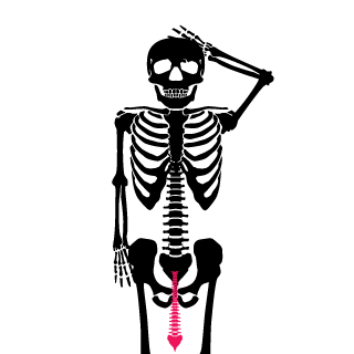 Generalkovex's emblem