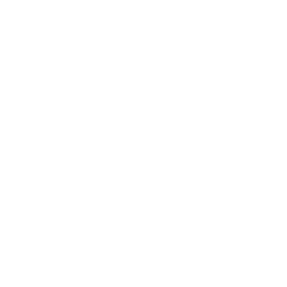 flyboy1221222's emblem
