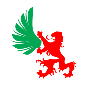 DorinCool89's emblem