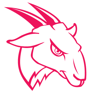 hikaru19870101's emblem