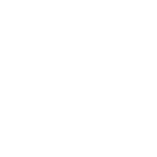 GuardianNZzZ's emblem