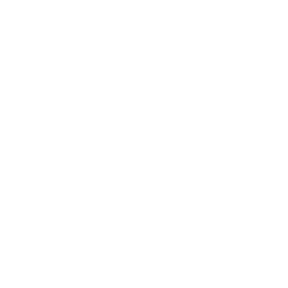 SanZera S50's emblem