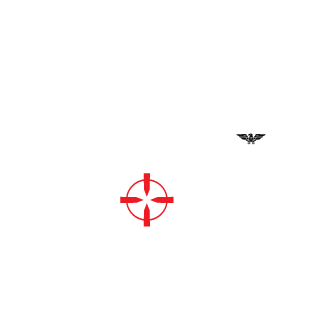 Shery13's emblem