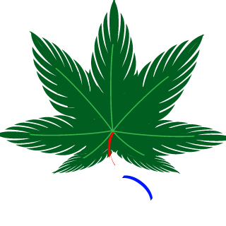 mafkees80's emblem