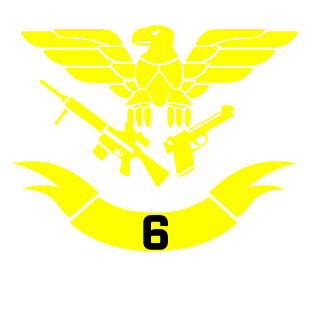 Seal Team 6's emblem
