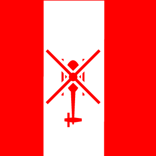 DizzyTorrent's emblem