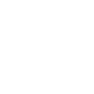 V10_Killer_R8's emblem