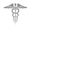 Lizer666's emblem