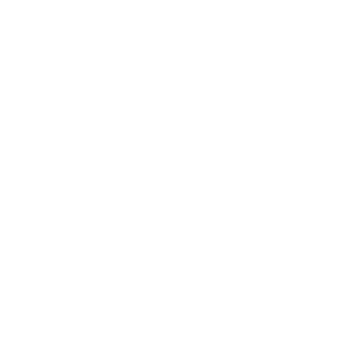 Lemon9801's emblem