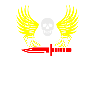 Pdanix01's emblem
