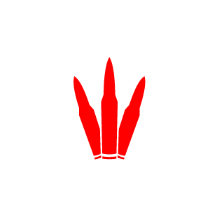 wooby248's emblem