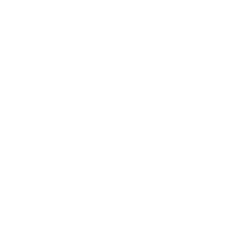 ISTOLA45's emblem