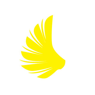 bRksvS's emblem