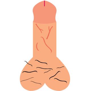 xalax123's emblem