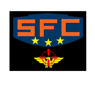 -SFC-WildCat's emblem