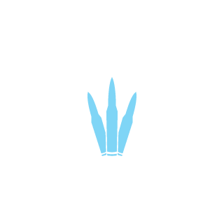 dexir36rus's emblem