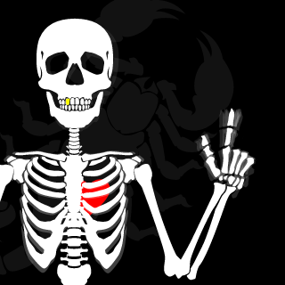 Sn0wRiDeR_011's emblem