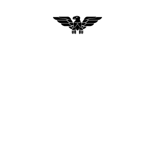 NX_RAIDEN's emblem