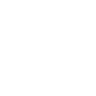 Shiny84's emblem