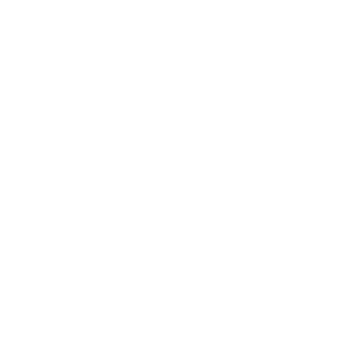 crazyjoven4life's emblem