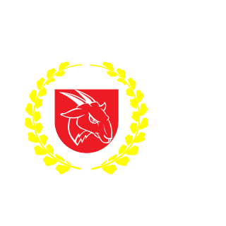 Galax_2020's emblem
