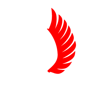 ravvv193's emblem