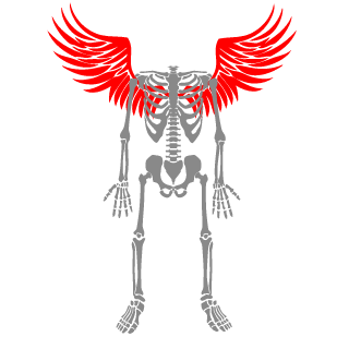 CampariOrange's emblem