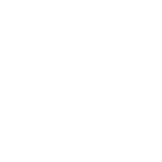 AFTERLIFE's emblem