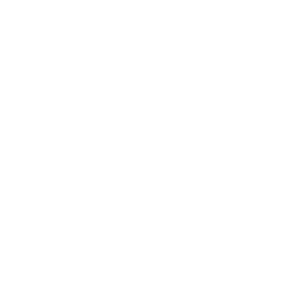 Oj the first 1's emblem