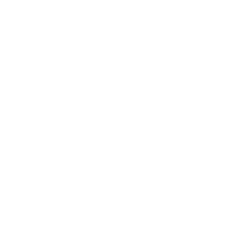 280pool's emblem