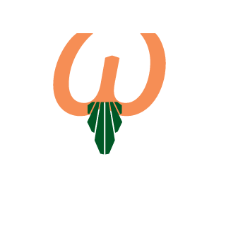 nuclearramb0's emblem