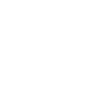 XBRiDLe's emblem