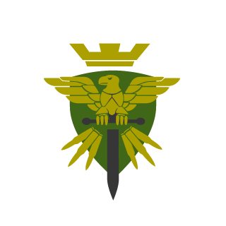 Raptor_919's emblem