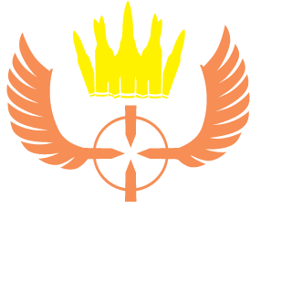 6STFUCarl9's emblem