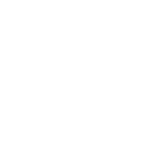 Celticsblazer's emblem