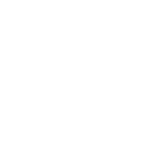 Haukis's emblem
