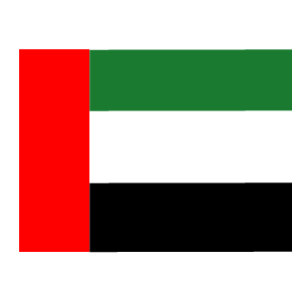 alnuaimiuae's emblem