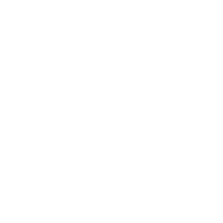 1st-ZeroCool's emblem
