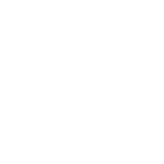 RivaNeo's emblem