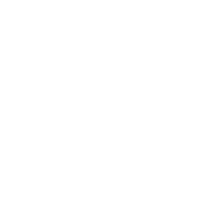 Tanukiexe's emblem