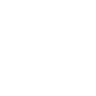 DieLiga's emblem