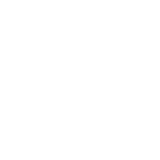 ThunderBeast1's emblem