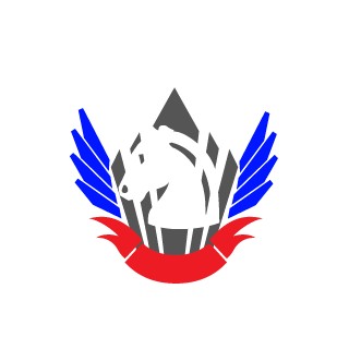 VHageNV's emblem