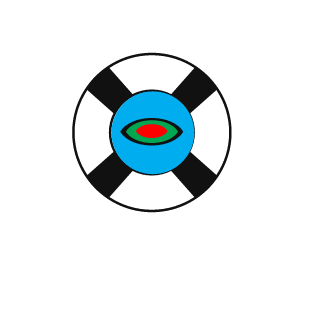 NightHawkZ23's emblem