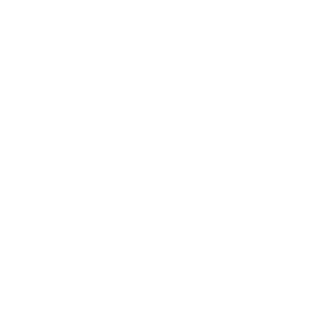 dlmn1997's emblem