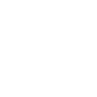 onebrother_lee's emblem