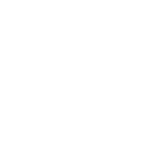BugusDuckus's emblem