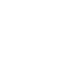 1mairo's emblem