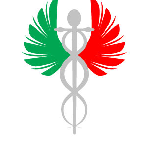 alle85's emblem