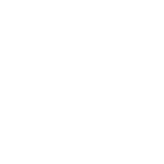 netganzdicht's emblem